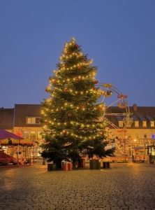 Weihnachtsgrüße 2025